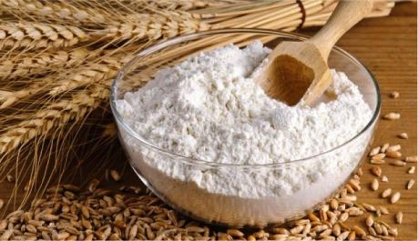 Catálogo: Harinas y aditivos