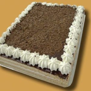 Placa Selva Negra 24 raciones